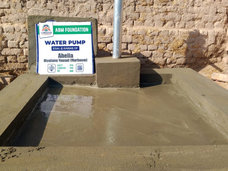 Ahelia moulana yousuf clean water hand pump