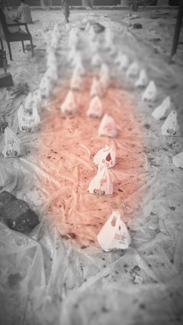 Eid ul adha qurbani meat bags arranged in rows